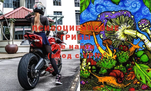 гашик Абаза