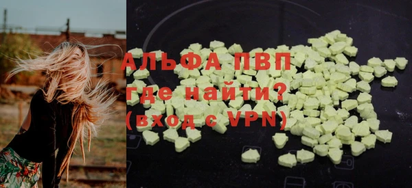 гашик Абаза