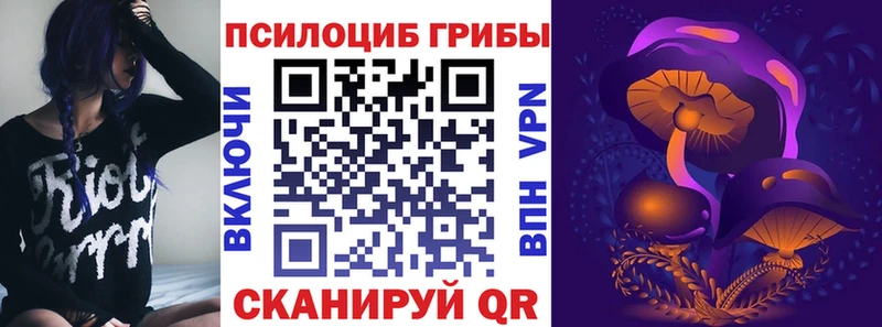Галлюциногенные грибы ЛСД  купить наркотики цена  Копейск 
