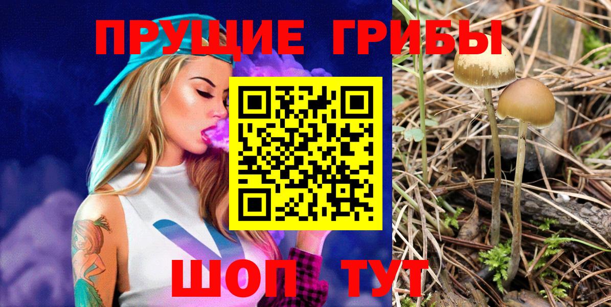 Псилоцибиновые грибы GOLDEN TEACHER Копейск